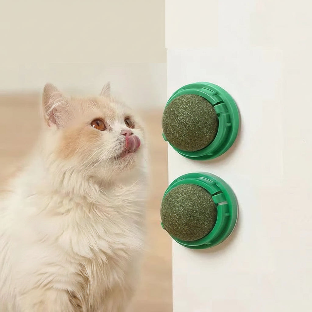 « Jouet à coller mural pour chat avec balle d'herbe à chat »