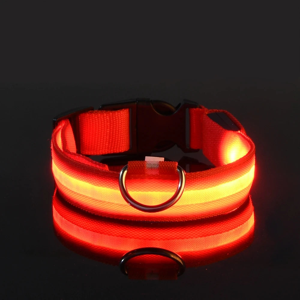 Nylon LED Nacht Sicherheit blinkende Glow In The Dark Hundeleine Hunde leuchtende fluoreszierende Haustier Hundehalsband
