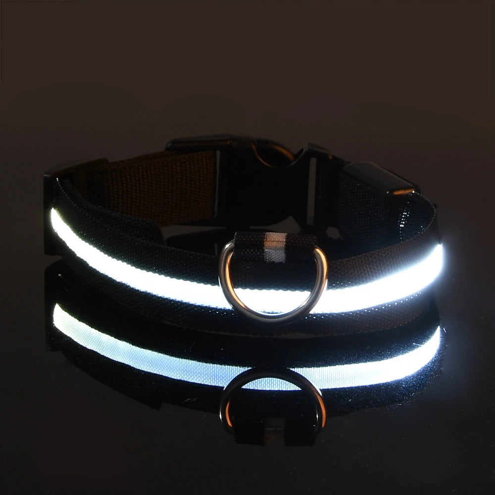 Nylon LED Nacht Sicherheit blinkende Glow In The Dark Hundeleine Hunde leuchtende fluoreszierende Haustier Hundehalsband