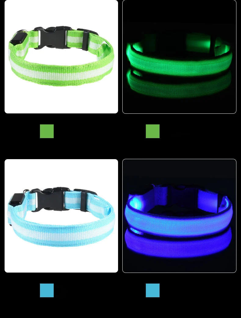 Nylon LED Nacht Sicherheit blinkende Glow In The Dark Hundeleine Hunde leuchtende fluoreszierende Haustier Hundehalsband