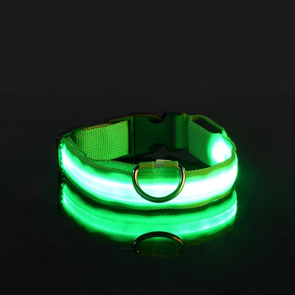 Nylon LED Nacht Sicherheit blinkende Glow In The Dark Hundeleine Hunde leuchtende fluoreszierende Haustier Hundehalsband