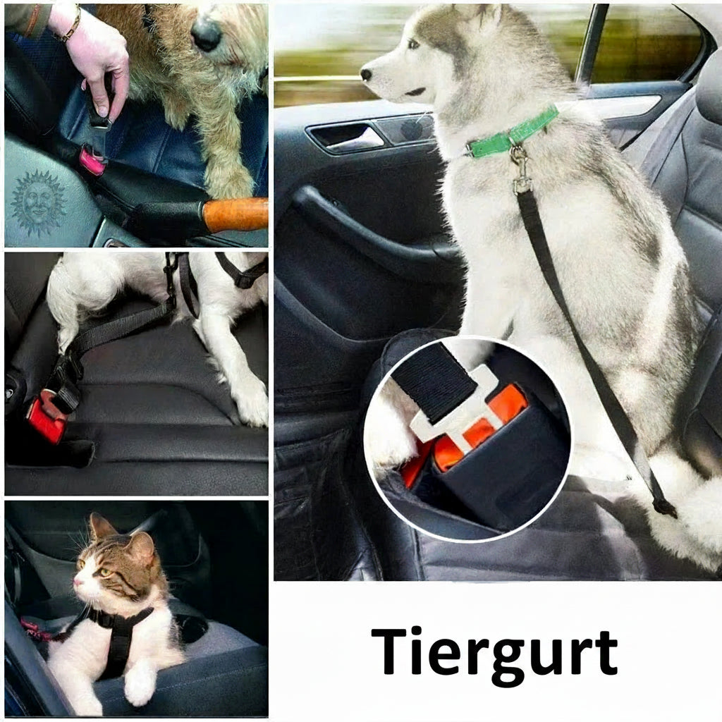 Einstellbare Haustier Katze Hund Auto Sitz Gürtel Haustier Sitz Fahrzeug Hundegeschirr Blei Clip Sicherheitshebel Traktion Hundehalsbänder Hunde Zubehör