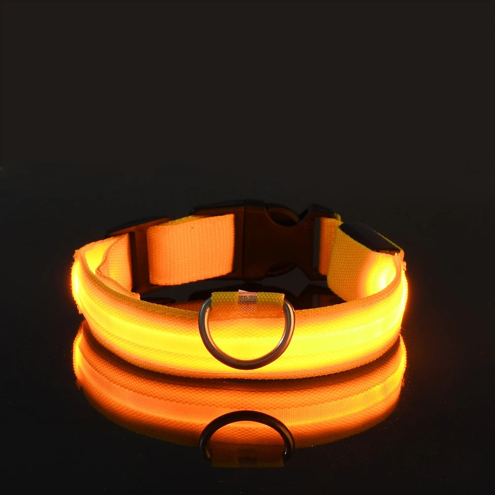 Nylon LED Nacht Sicherheit blinkende Glow In The Dark Hundeleine Hunde leuchtende fluoreszierende Haustier Hundehalsband