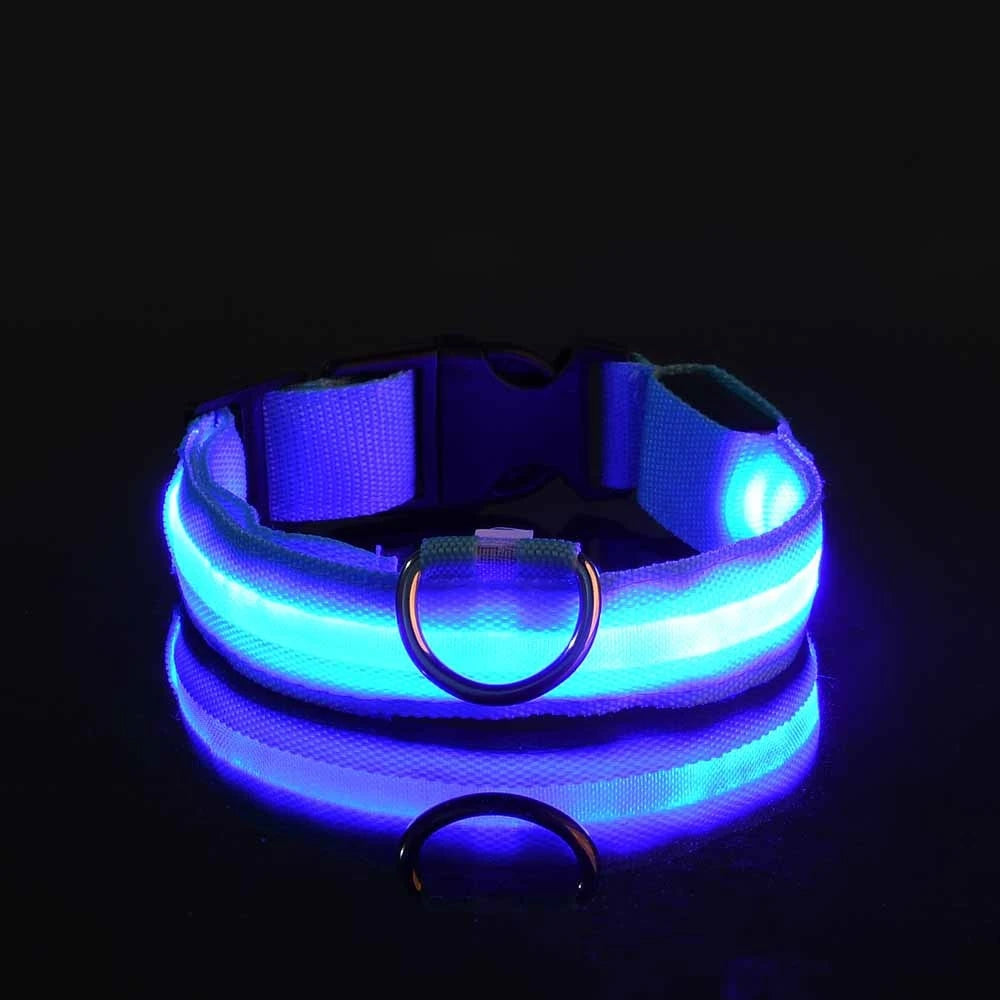 Nylon LED Nacht Sicherheit blinkende Glow In The Dark Hundeleine Hunde leuchtende fluoreszierende Haustier Hundehalsband