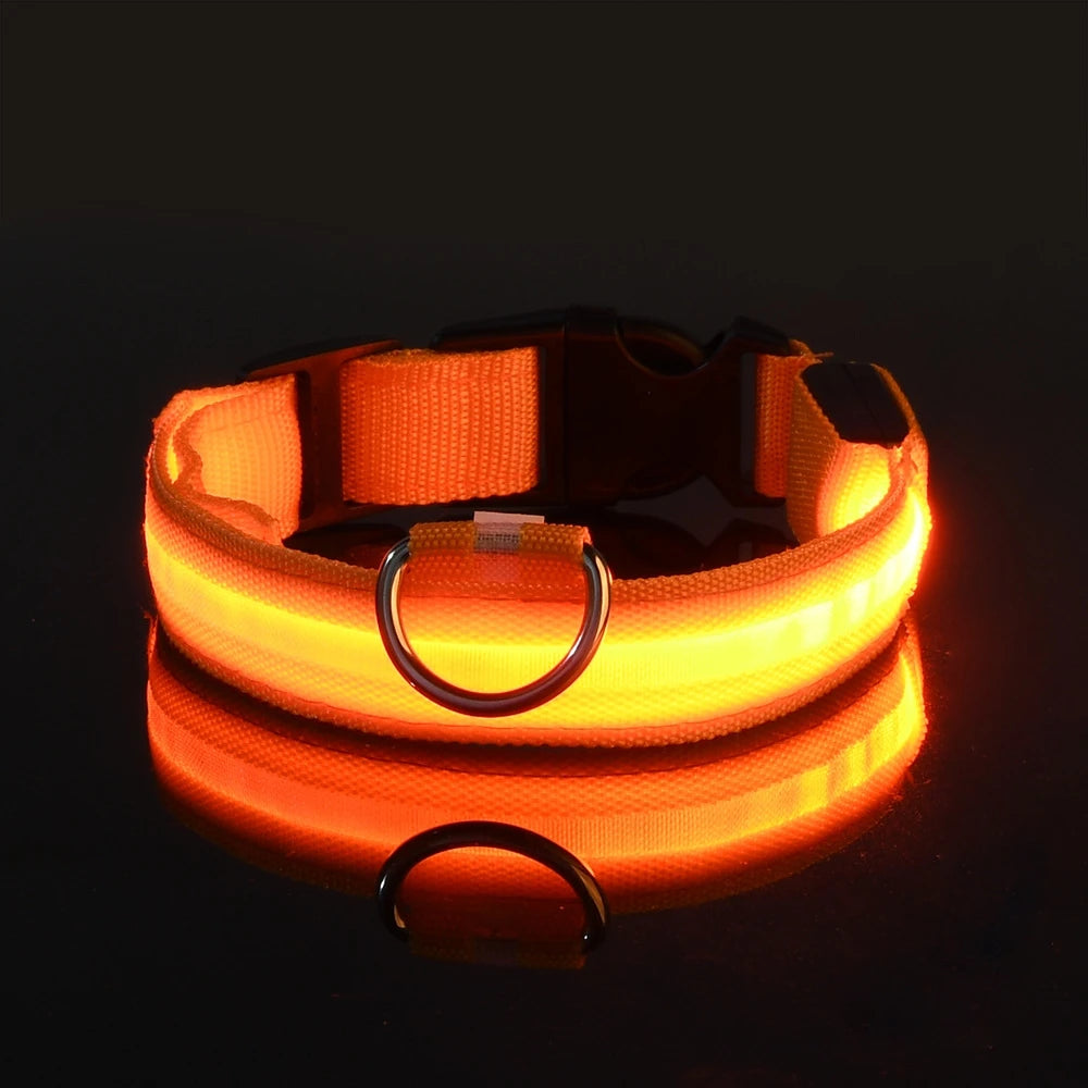 Nylon LED Nacht Sicherheit blinkende Glow In The Dark Hundeleine Hunde leuchtende fluoreszierende Haustier Hundehalsband
