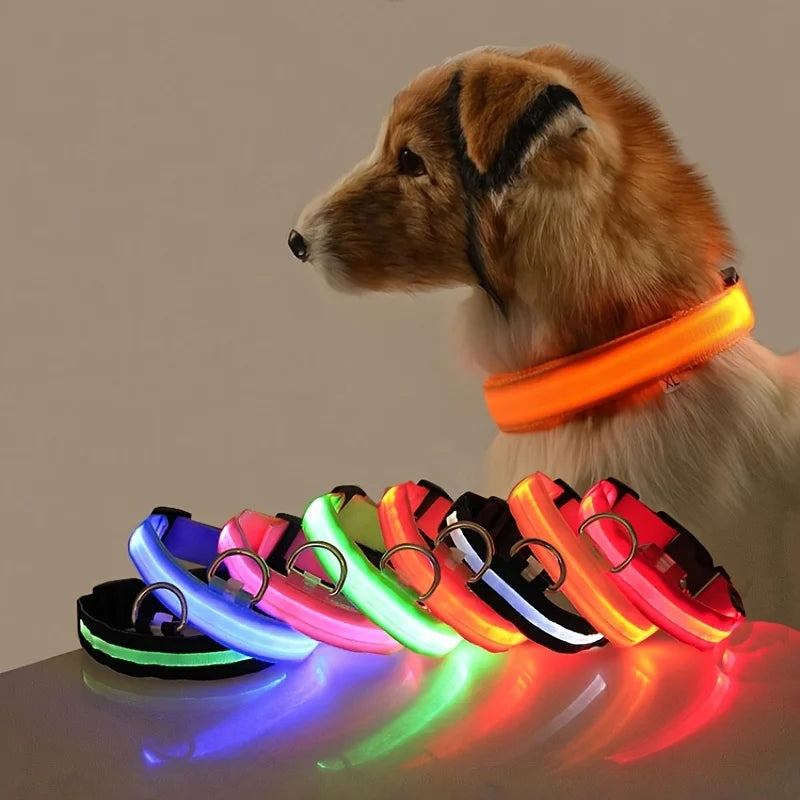 Nylon LED Nacht Sicherheit blinkende Glow In The Dark Hundeleine Hunde leuchtende fluoreszierende Haustier Hundehalsband