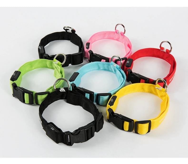Nylon LED Nacht Sicherheit blinkende Glow In The Dark Hundeleine Hunde leuchtende fluoreszierende Haustier Hundehalsband