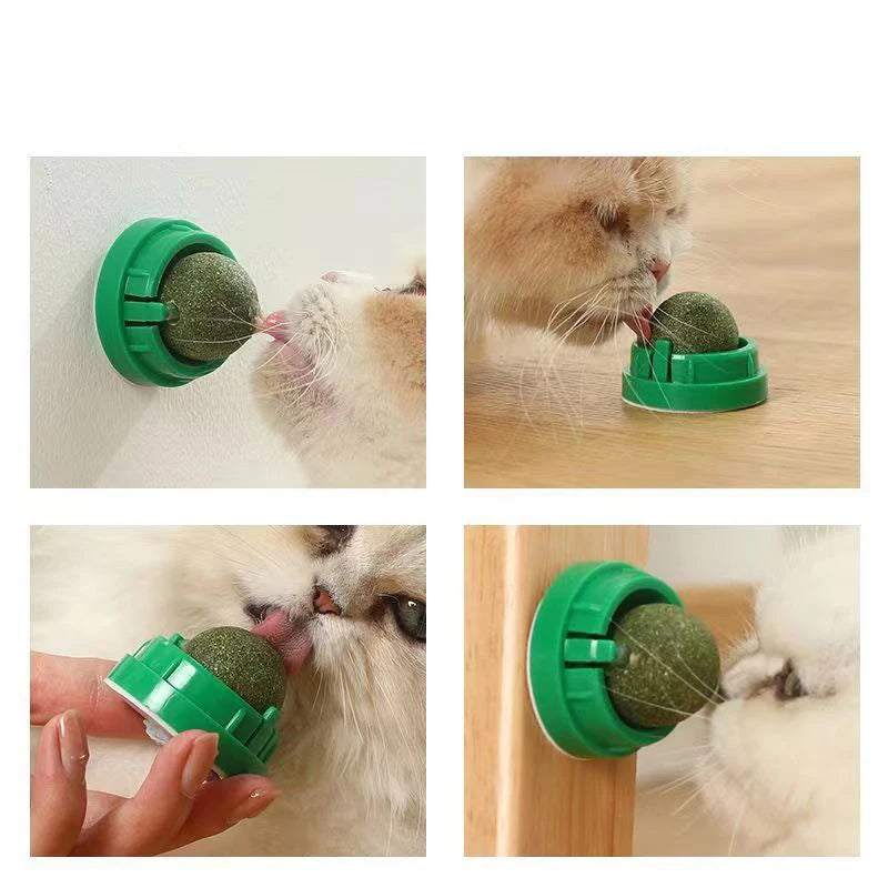 « Jouet à coller mural pour chat avec balle d'herbe à chat »