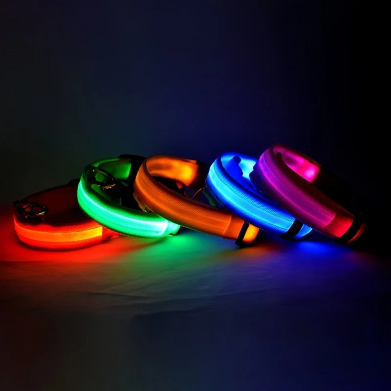 Nylon LED Nacht Sicherheit blinkende Glow In The Dark Hundeleine Hunde leuchtende fluoreszierende Haustier Hundehalsband