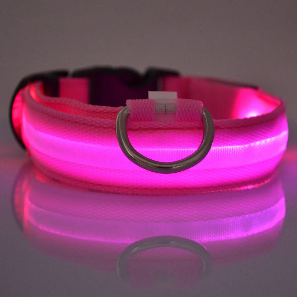 Nylon LED Nacht Sicherheit blinkende Glow In The Dark Hundeleine Hunde leuchtende fluoreszierende Haustier Hundehalsband