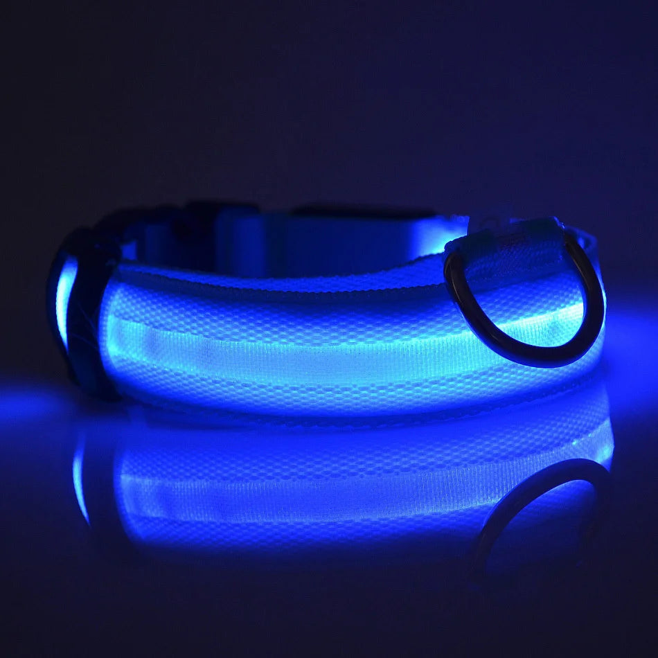 Nylon LED Nacht Sicherheit blinkende Glow In The Dark Hundeleine Hunde leuchtende fluoreszierende Haustier Hundehalsband