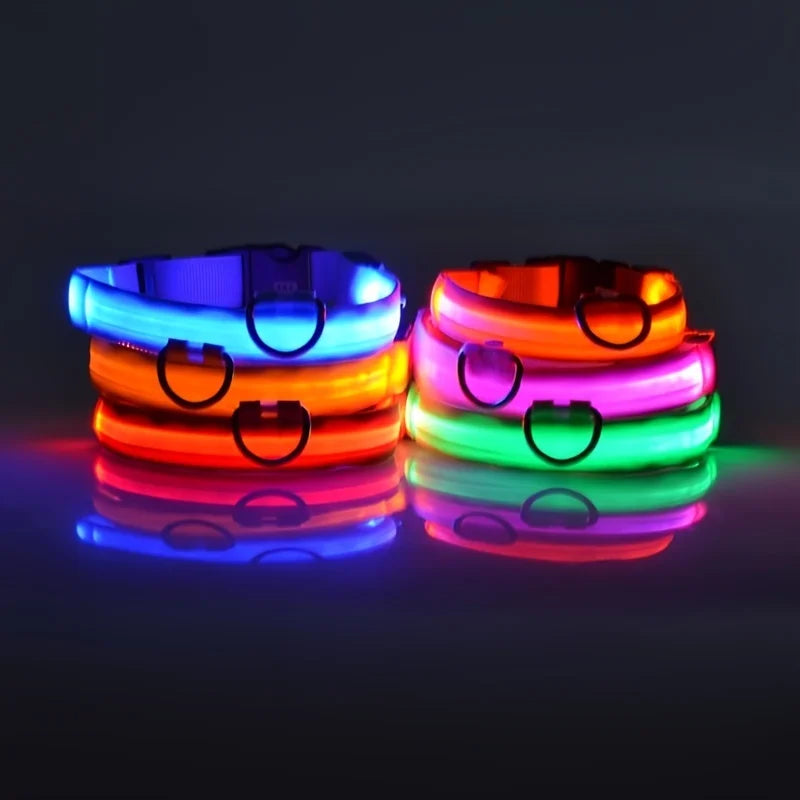 Nylon LED Nacht Sicherheit blinkende Glow In The Dark Hundeleine Hunde leuchtende fluoreszierende Haustier Hundehalsband