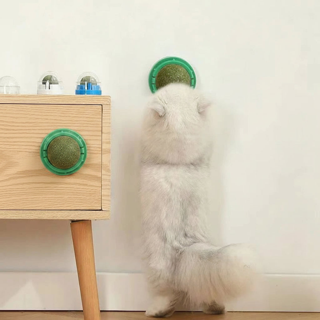 « Jouet à coller mural pour chat avec balle d'herbe à chat »