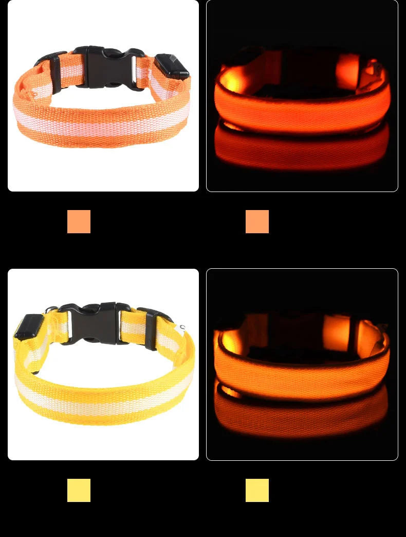 Nylon LED Nacht Sicherheit blinkende Glow In The Dark Hundeleine Hunde leuchtende fluoreszierende Haustier Hundehalsband