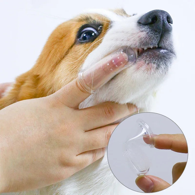 Superweiche Haustier-Finger-Zahnbürste, Teddy-Hundebürste, Mundgeruch, Zahnstein, Zahnpflege-Werkzeug, Hund, Katze, Reinigung, Silicagel, Heimtierbedarf