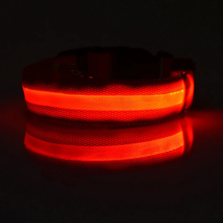 Nylon LED Nacht Sicherheit blinkende Glow In The Dark Hundeleine Hunde leuchtende fluoreszierende Haustier Hundehalsband