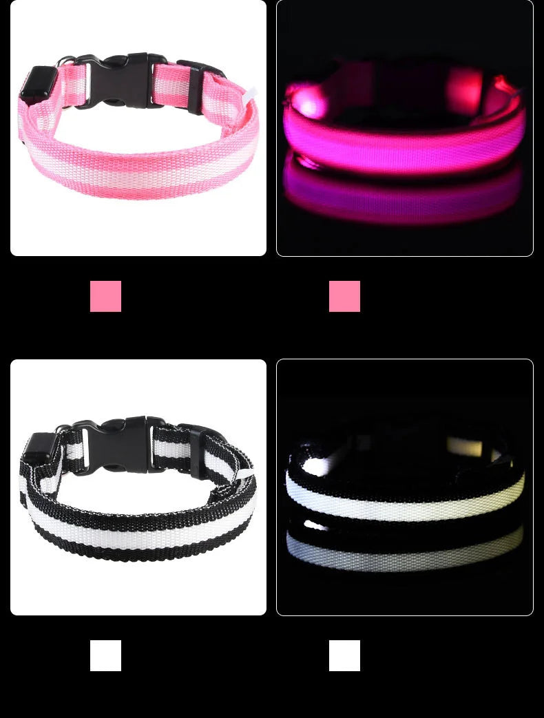 Nylon LED Nacht Sicherheit blinkende Glow In The Dark Hundeleine Hunde leuchtende fluoreszierende Haustier Hundehalsband