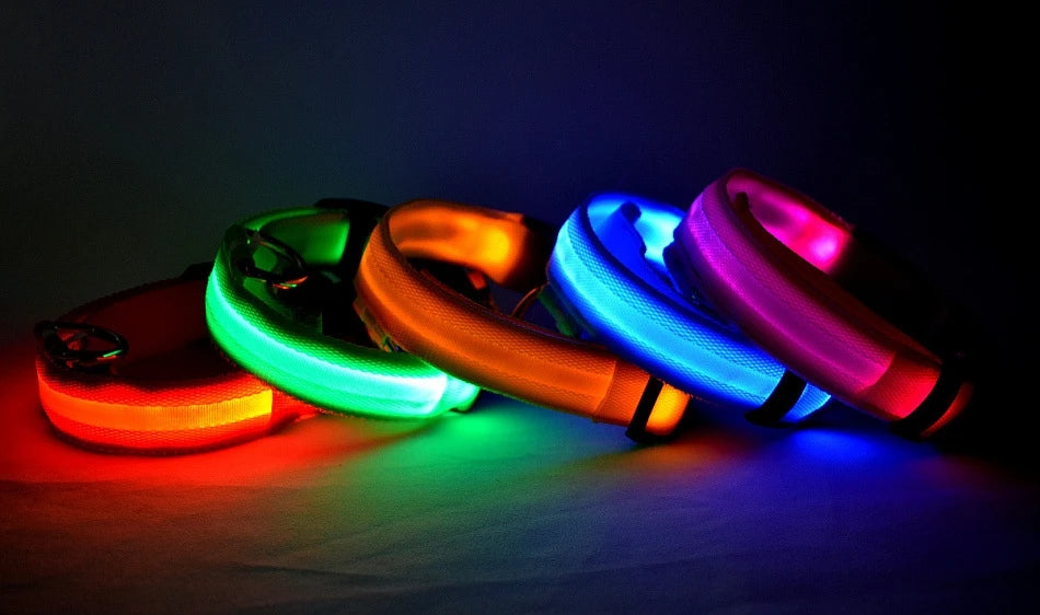 Nylon LED Nacht Sicherheit blinkende Glow In The Dark Hundeleine Hunde leuchtende fluoreszierende Haustier Hundehalsband