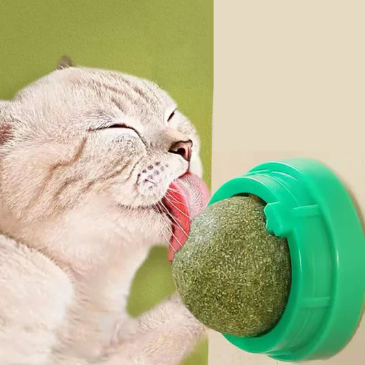 „Catnip Cat Wall Stick-on Ball Toy“