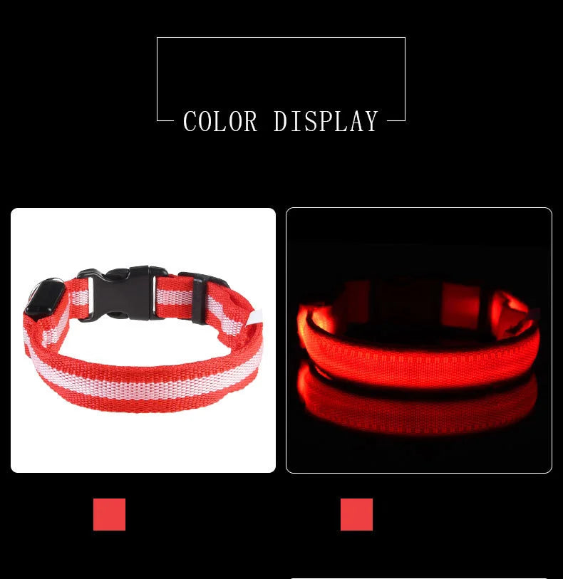 Nylon LED Nacht Sicherheit blinkende Glow In The Dark Hundeleine Hunde leuchtende fluoreszierende Haustier Hundehalsband